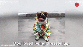 Doug Loves Dressing Up