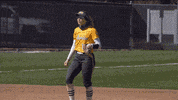 K Softball GIF by Valparaiso University