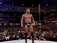 dwayne the rock johnson wrestling GIF by WWE