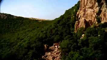 oklahoma GIF