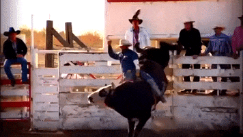 oklahoma GIF