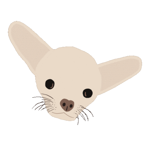 Dog Chihuahua Sticker by Alexiane Bijoux