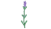 Lavender 花 Sticker