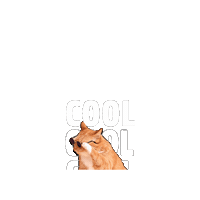 Chill Sticker by YOXO