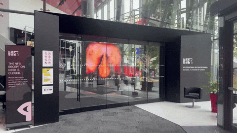 GIF by Alex Boya