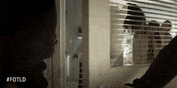 GIF by Fight of The Living Dead