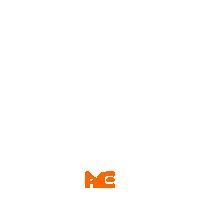 iACE not now iace if not now when ifnotnowwhen Sticker