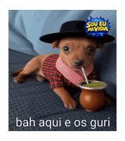 Rio Grande Do Sul Figurinhas Sticker by Sou Eu Na Vida