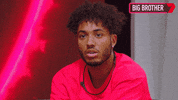 Big Brother Reaction GIF by Big Brother Australia