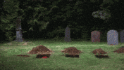 clown grave GIF