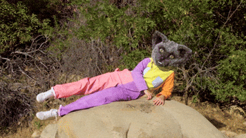 Fit Cat