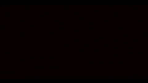 GIF by Signature Entertainment