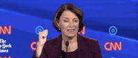 Demdebate GIF by GIPHY News