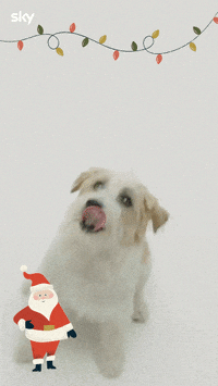 Film Natale GIF by Sky Italia