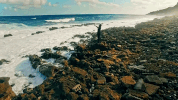 luis fonsi GIF