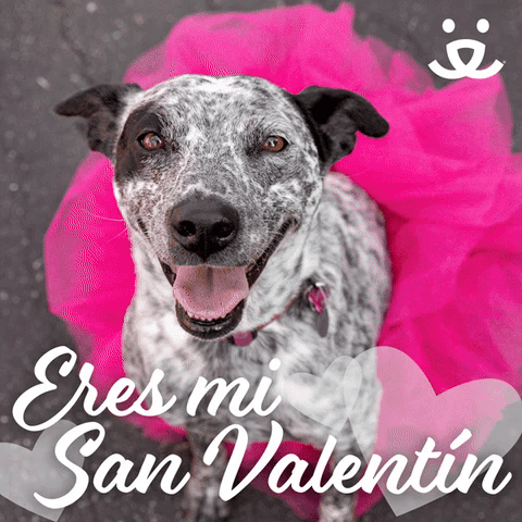 Eres Mi San Valentín