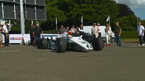 VicVik giphygifmaker GIF