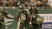 Football Celebration GIF by USF Athletics