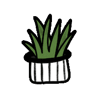 Succulents Sticker