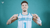 Hive Mentality Lamelo Ball GIF by Charlotte Hornets