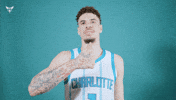 Hive Mentality Lamelo Ball GIF by Charlotte Hornets