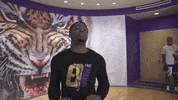 Excuse Me What GIF by LSU Tigers