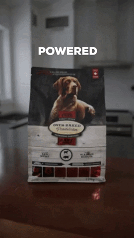 Dog Meat GIF by OvenBakedTradition