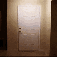 famousfoxfederation fff famous fox federation famous foxes GIF