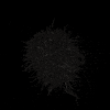 xponentialdesign loop health science organic GIF