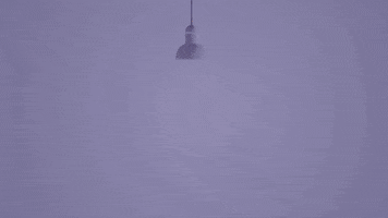 Business GIF by D20