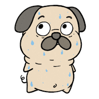 Dog Idk Sticker by Sticker Book iOS GIFs