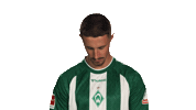 Look Up Werder Bremen Sticker by Bundesliga