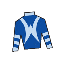 Sport Silk Sticker by Kentucky Derby