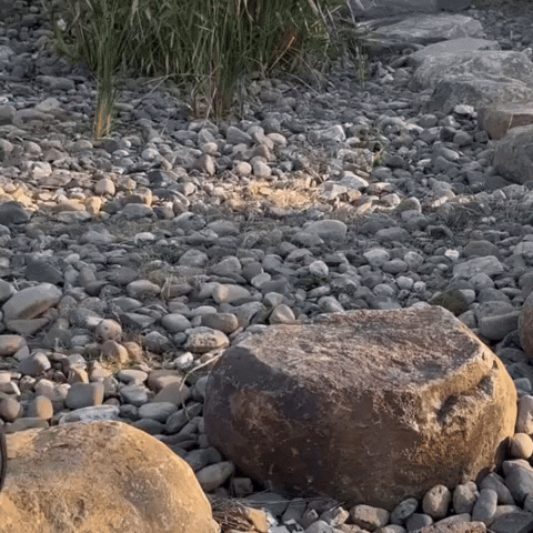 GetOutdoors giphyupload GIF