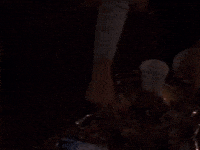 season 5 netflix GIF by Gilmore Girls 