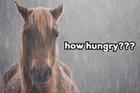 Horse Meme GIF
