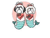 Shih Tzu Sticker