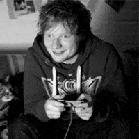 ed sheeran cat GIF