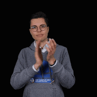 RCDS_S-H ju junge union rcds konservativewelle GIF