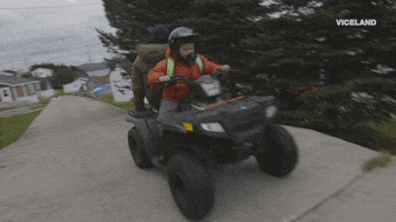 viceland GIF by ABANDONED
