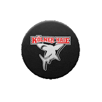 Goal Hockey Sticker by Koelner Haie