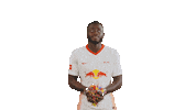 Happy Fun Sticker by RB Leipzig