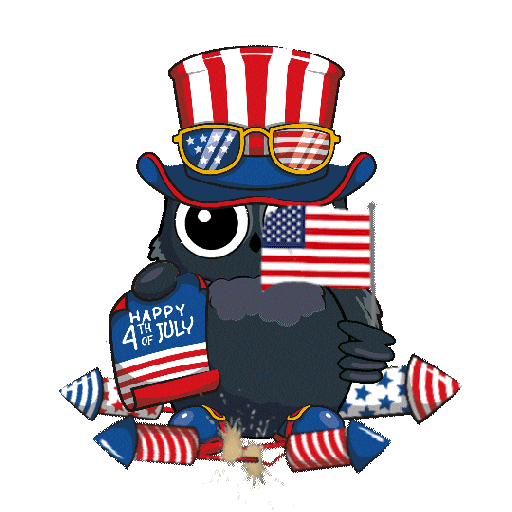Independence Day Celebration Sticker by BigBrains