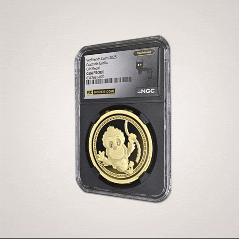 Coin Gratitude GIF by VeeFriends