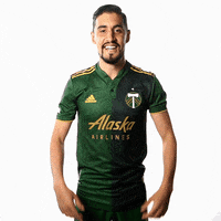 Portland Timbers Sport GIF by Timbers
