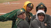 north dakota state dancing GIF by NDSU Athletics