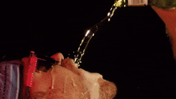 Sexy Party GIF by Pit Viper