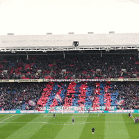 Crystal Palace Football GIF by CPFC