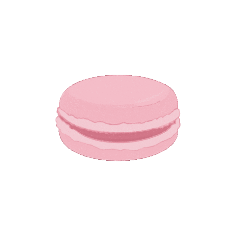 danabjorum giphyupload dessert french macaron Sticker