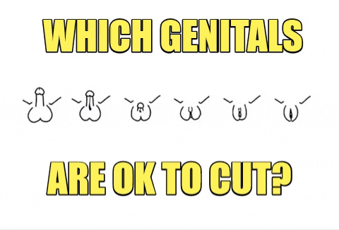 GIF by Foreskin Revolution